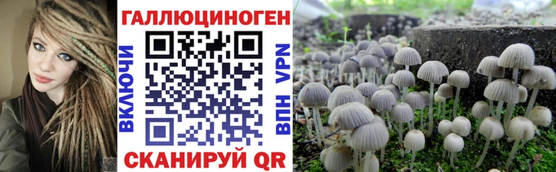 Галлюциногенные грибы MAGIC MUSHROOMS  OMG зеркало  Дубна  купить наркотик 
